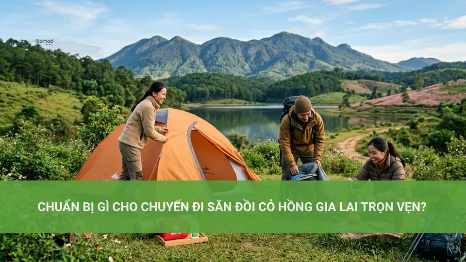 Khám Phá Đồi Cỏ Hồng Gia Lai Tuyệt Đẹp Chuẩn Bị Gì Cho Chuyến Đi Săn Đồi Cỏ Hồng Gia Lai Trọn Vẹn?