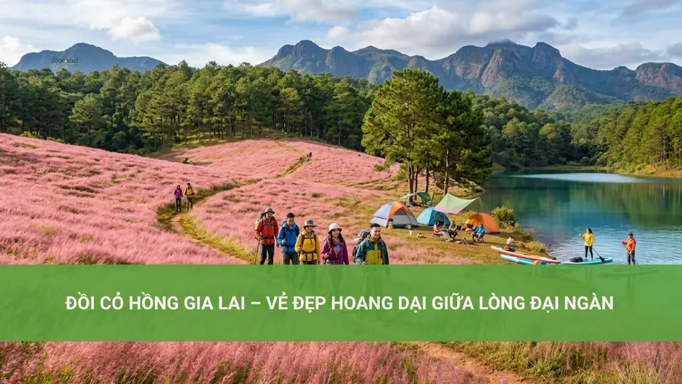 Khám Phá Đồi Cỏ Hồng Gia Lai Tuyệt Đẹp Đồi Cỏ Hồng Gia Lai – Vẻ Đẹp Hoang Dại Giữa Lòng Đại Ngàn