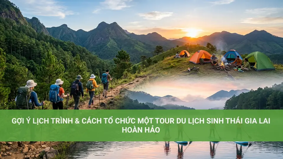 Khám Phá Du Lịch Sinh Thái Gia Lai – Trải Nghiệm Thiên Nhiên Gợi Ý Lịch Trình & Cách Tổ Chức Một Tour Du Lịch Sinh Thái Gia Lai Hoàn Hảo